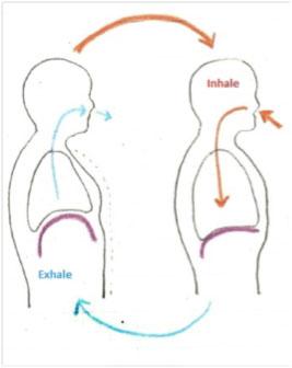 Pranayama (Yes, You are Alive!): By Sarah Hull - Yoga District ...