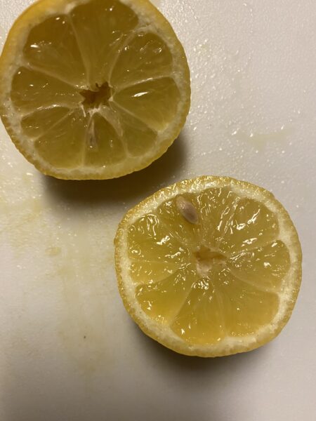 Fruit